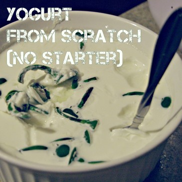 Yogurt from scratch without a starter (from pepper stems)